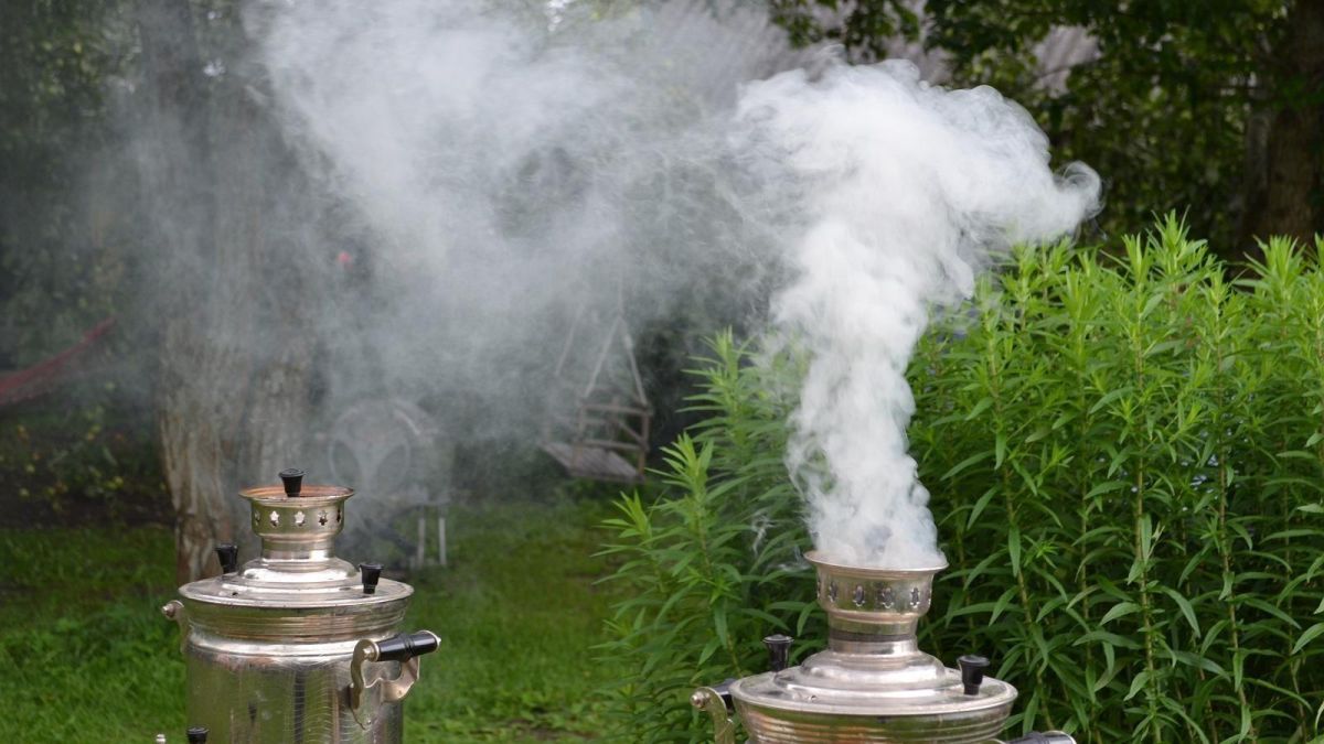 Кафе тети Шуры