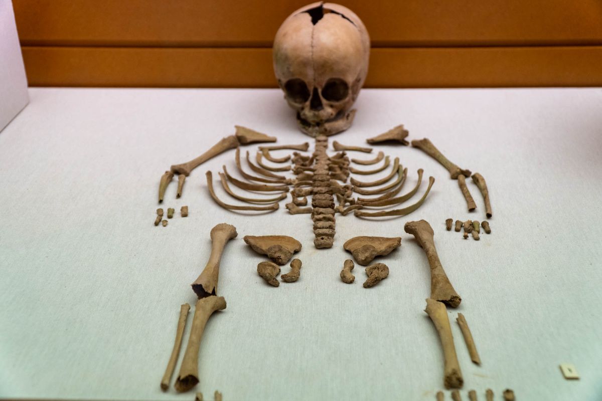 Музей доисторической эпохи Валенсии