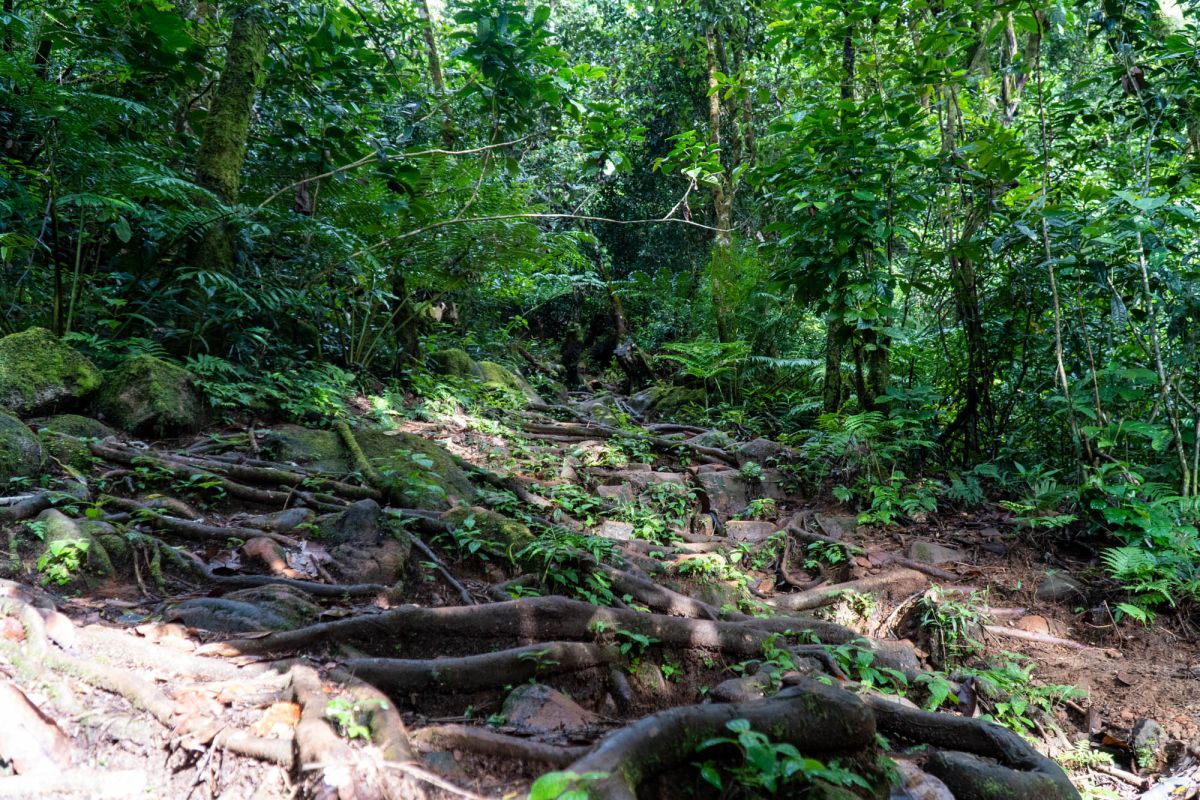 Национальный парк Морн Сейшелуа