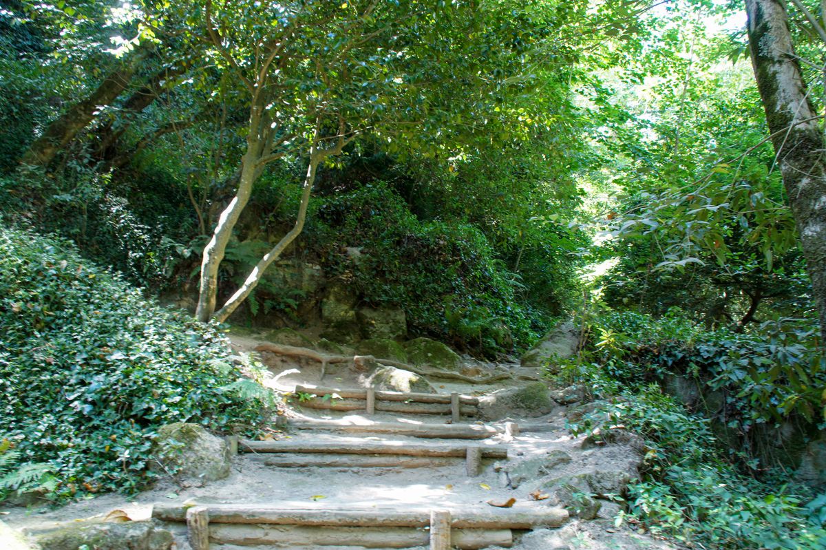 Парк дас Мерендас (Parque das Merendas)