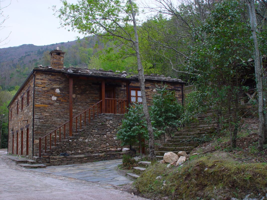 Лес Маргараса