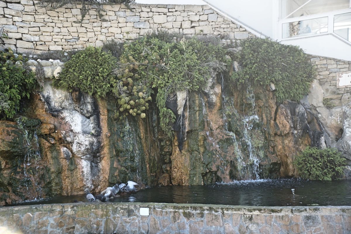 Каскад Сан-Педро