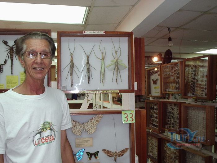 Музей Бабочек Ля Сейба