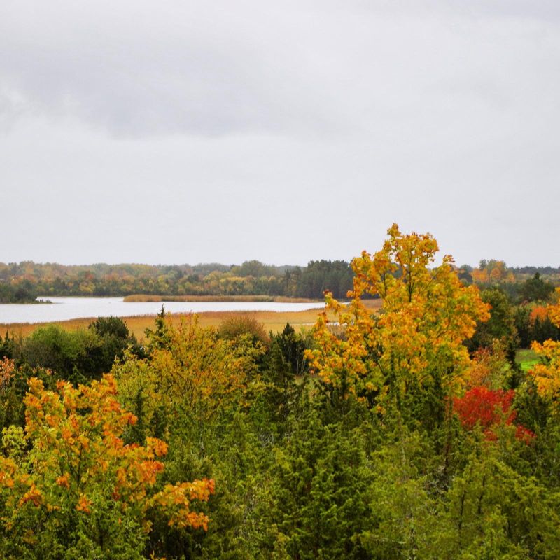 Орнитологическая вышка в Орьяку