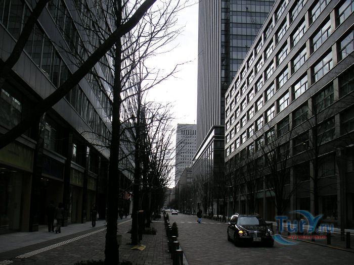 Район Маруноути