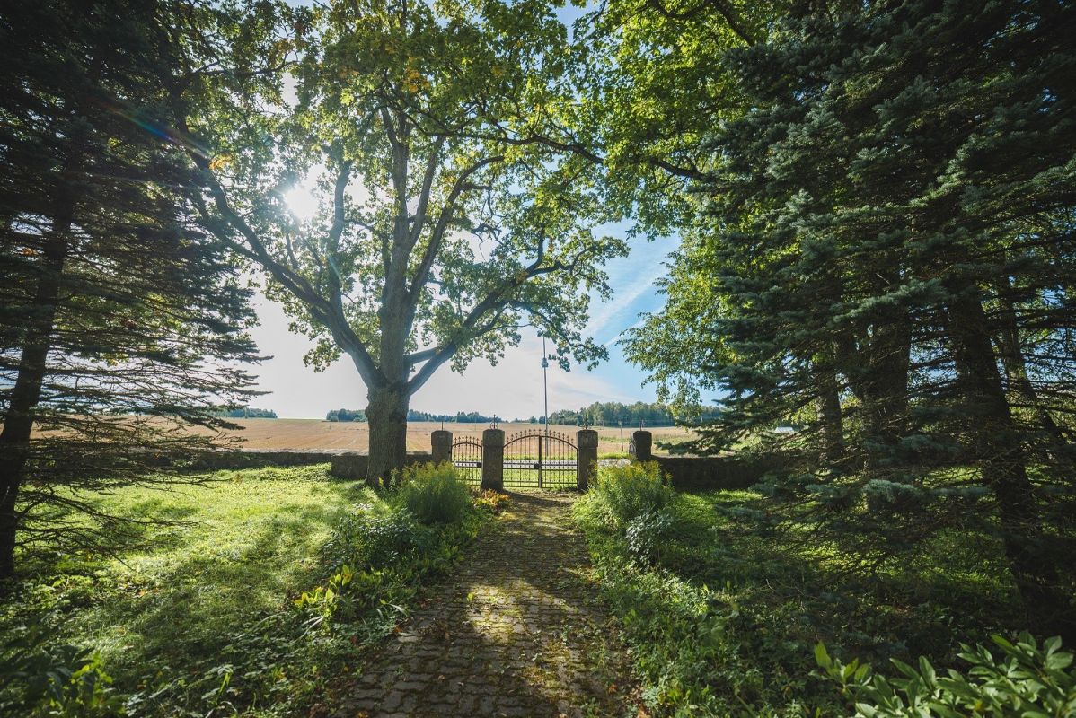 Церковь Святого Георгия в Лайузе