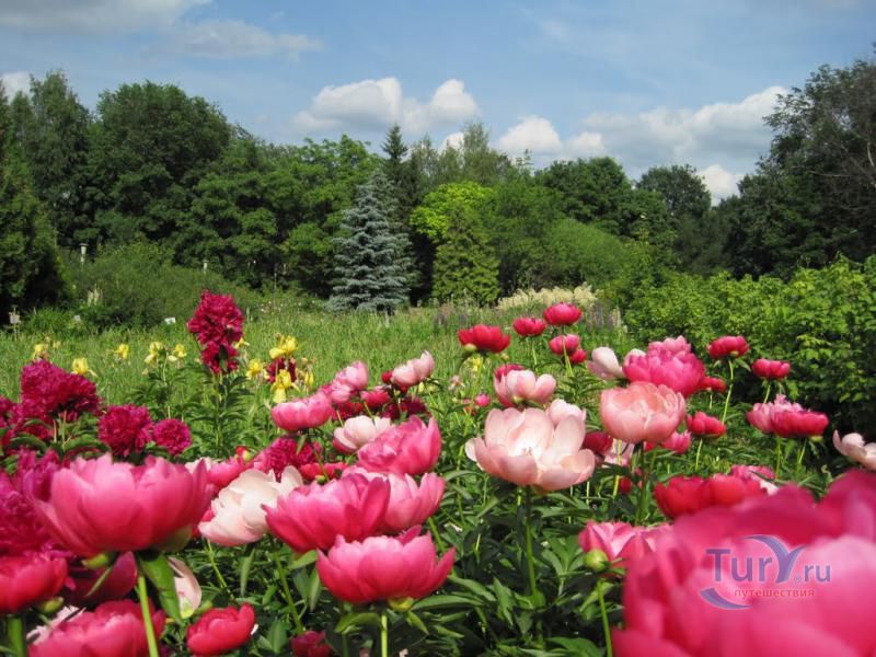 Кировский ботанический сад