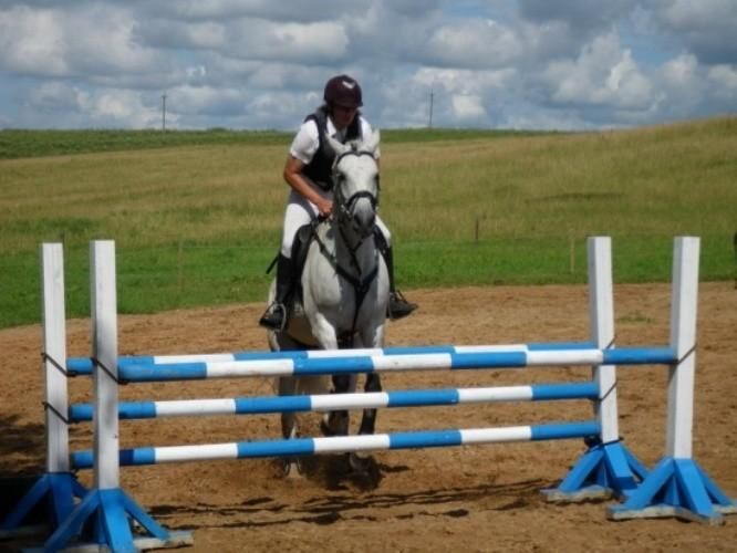 Конный хутор Карла-Эрика