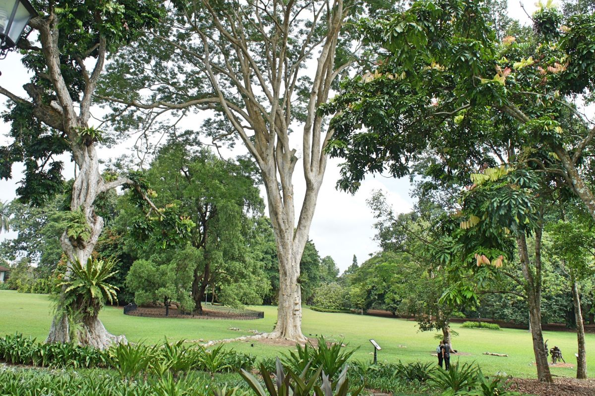 Парк Нассим Гейт