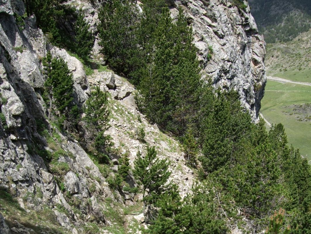 Виа Феррата дель Клот де л'Аспра