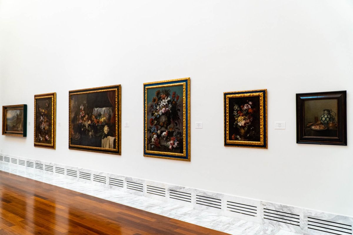 Музей изящных искусств Валенсии