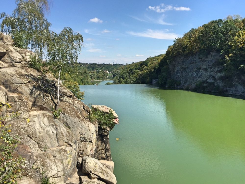 Голова Чацкого