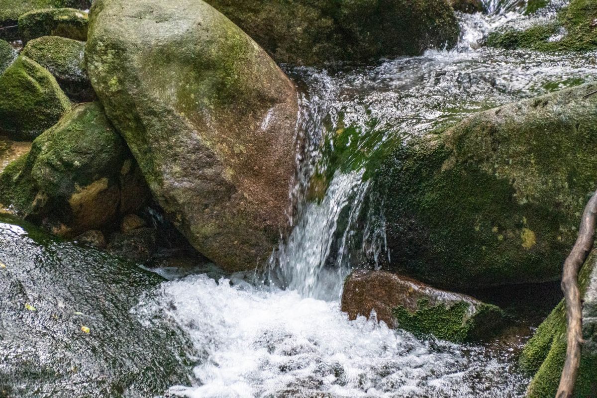 Карконошеский национальный парк