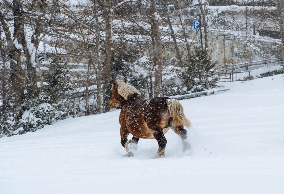 Ла-Кортинада