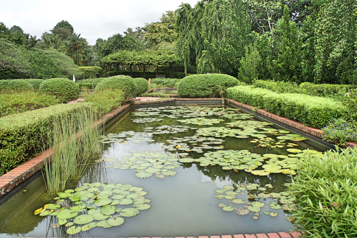 Парк Нассим Гейт