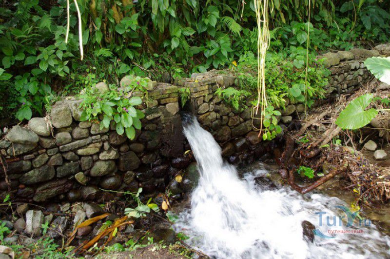 Плантация Абитасьон Серон
