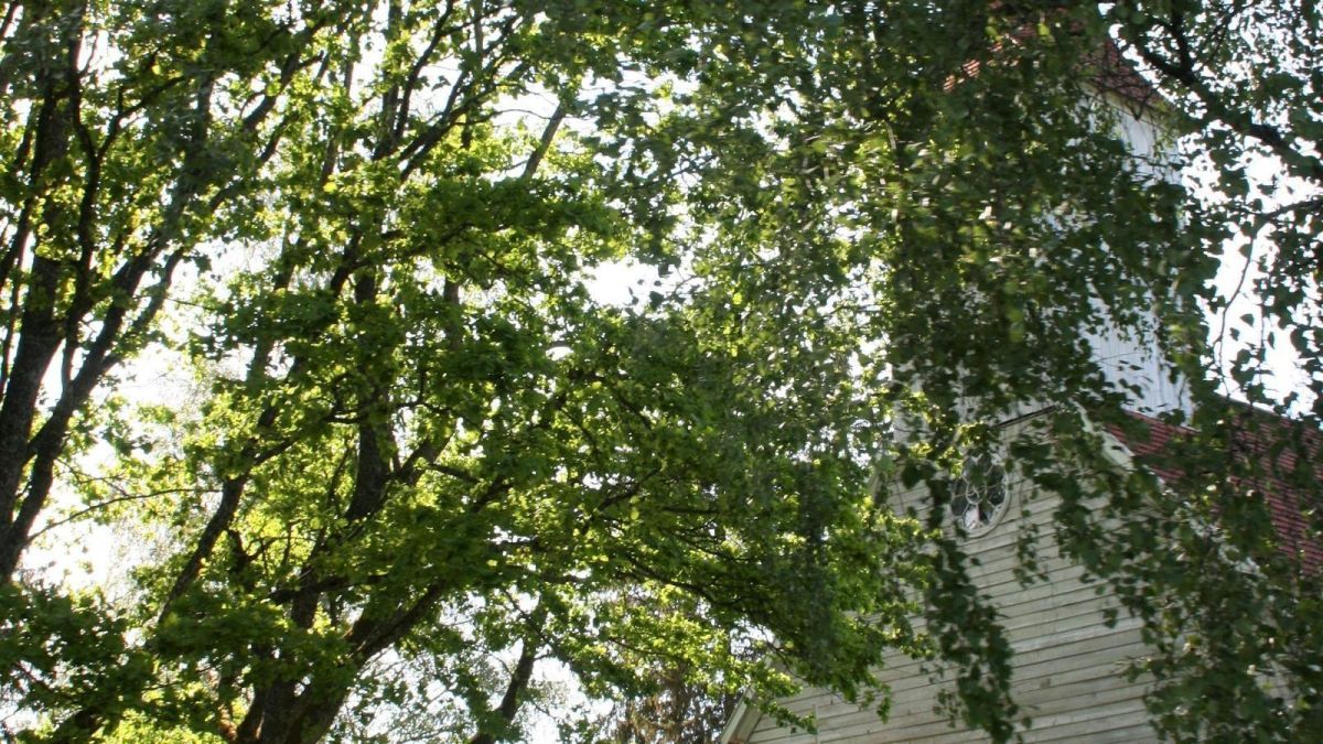 Церковь в Кяру