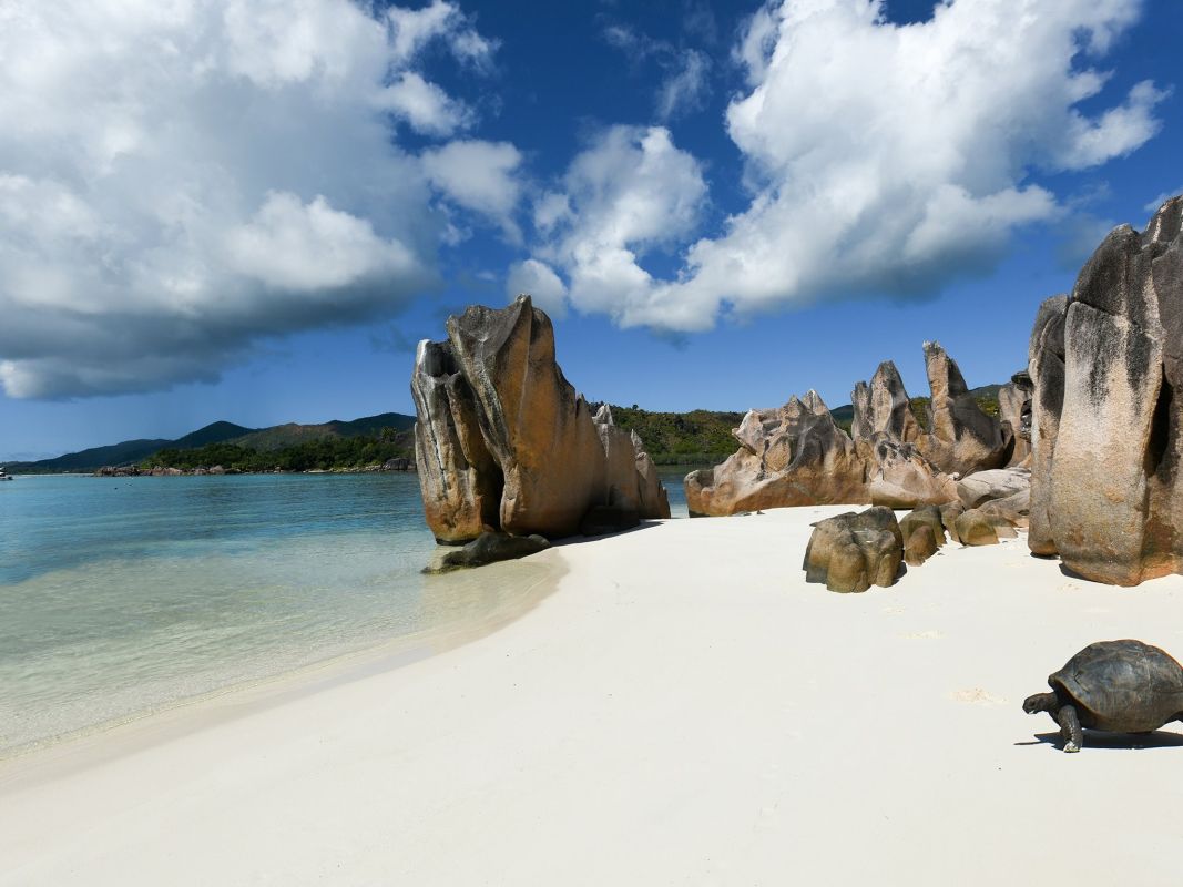 Залив Бэ-ла-Рэ или Бэ-Кюриез