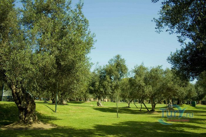 Оливковая Роща Оливар (Парк Оливар)