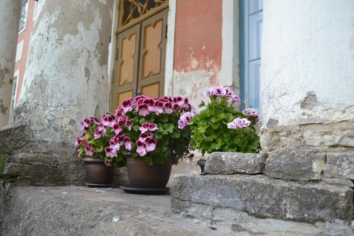 Мыза Саргвере