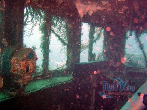 Шак Эм (MV Shakem)