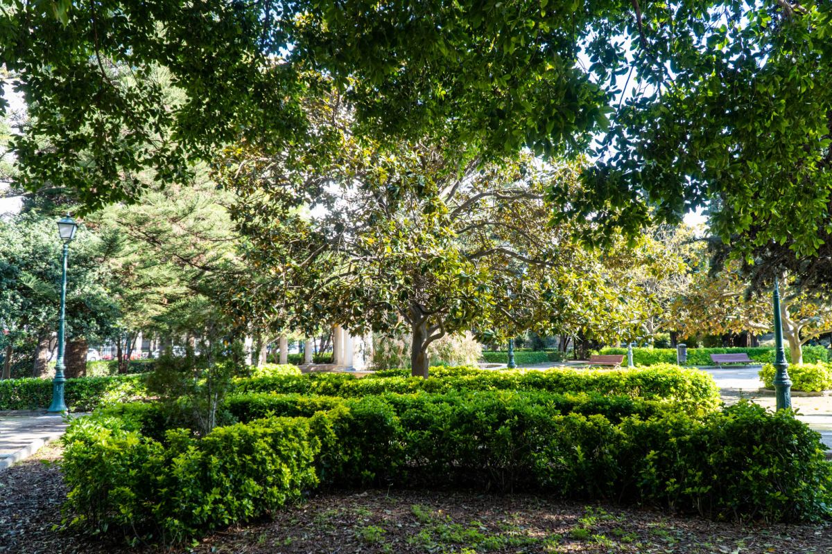 Сады дель Реал / Виверс