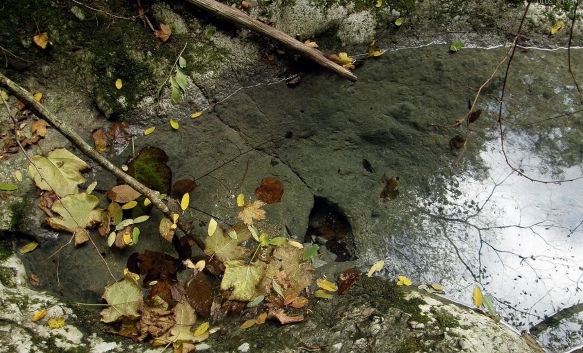 Ущелье Реки Цихерва