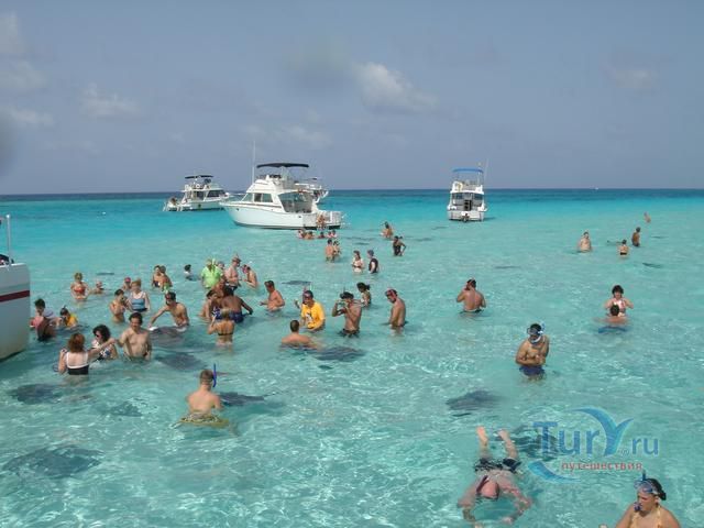 Город Скатов