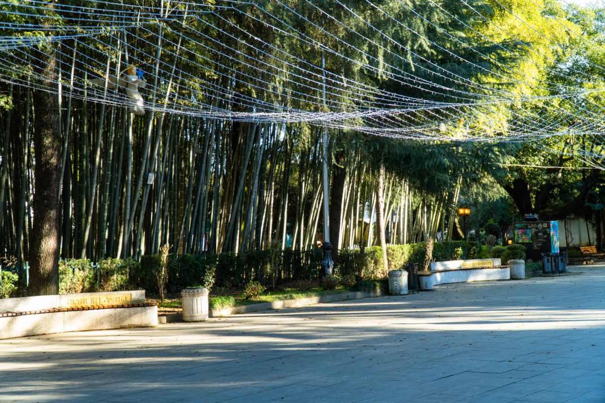 Бамбуковая Роща