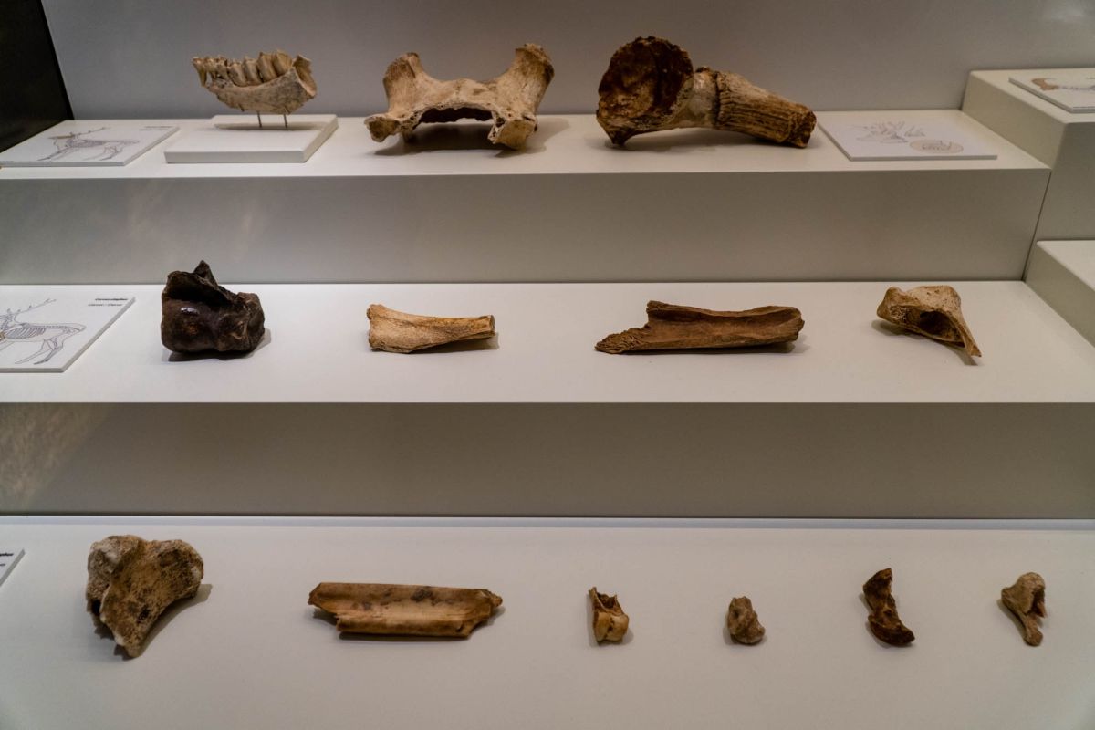 Музей доисторической эпохи Валенсии