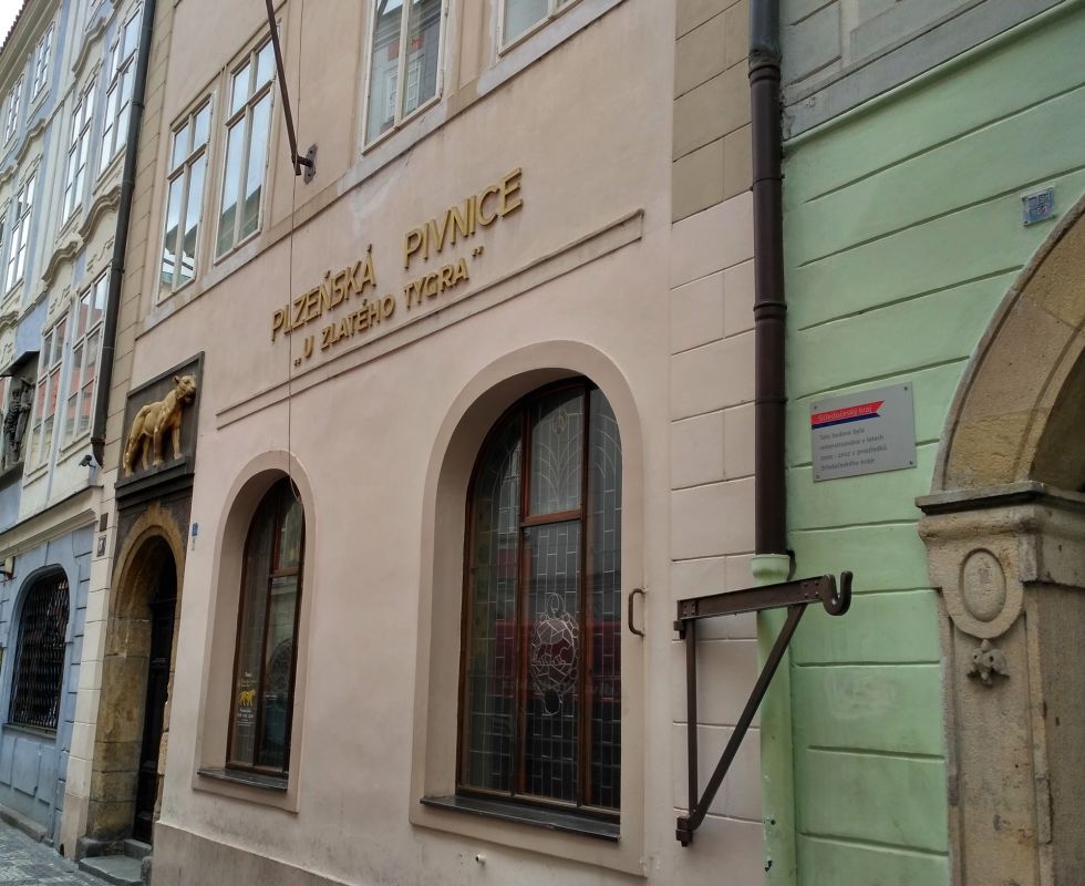 У золотого тигра