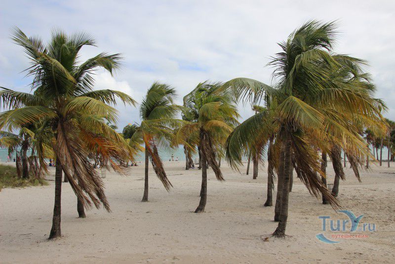 Крэндон Парк