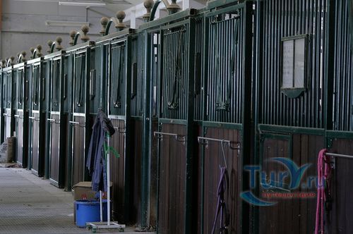 Mickey Horstland Park