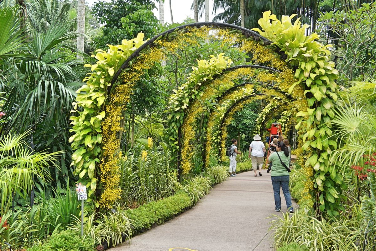 Сингапурский ботанический сад