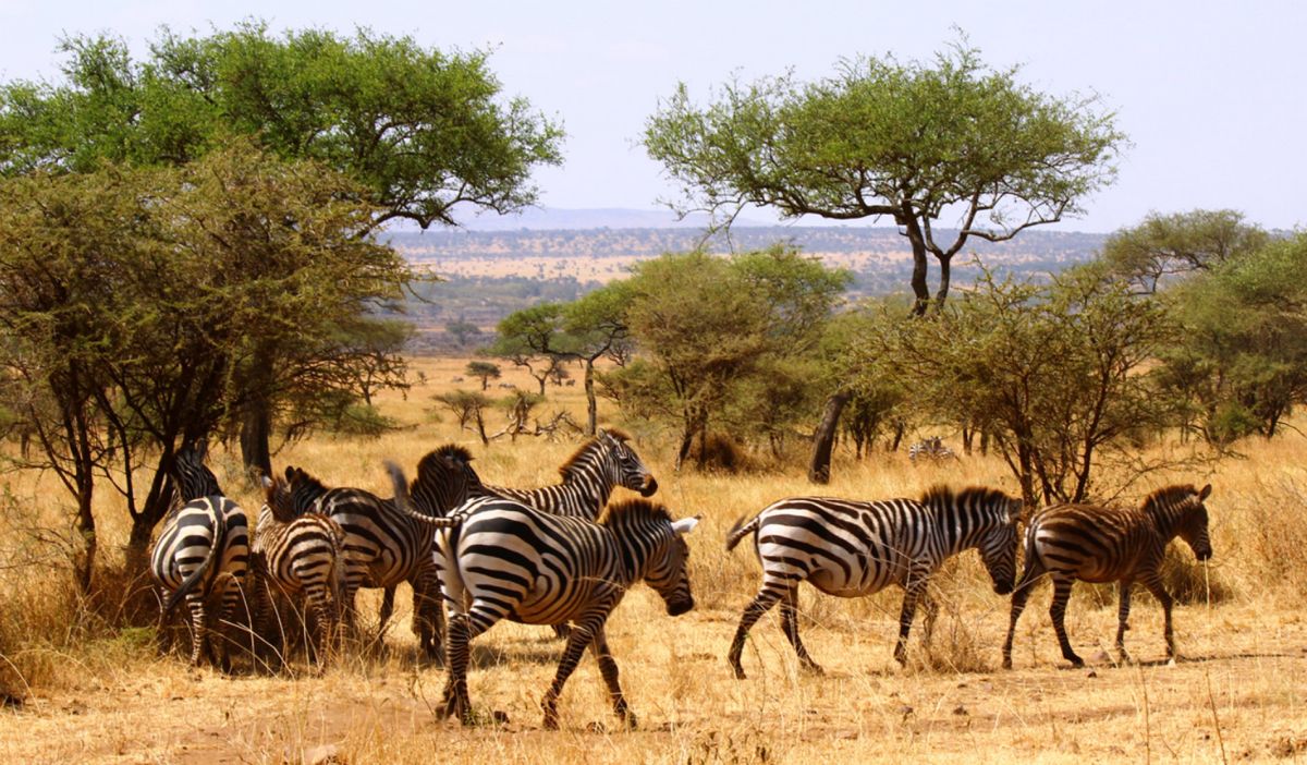 Национальный парк Микуми