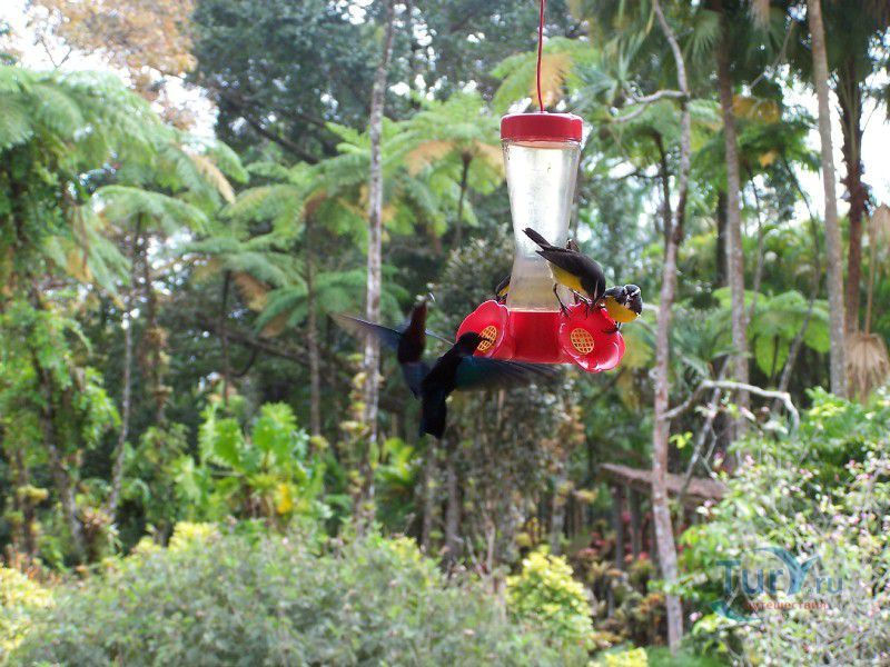 Ботанический сад Балата