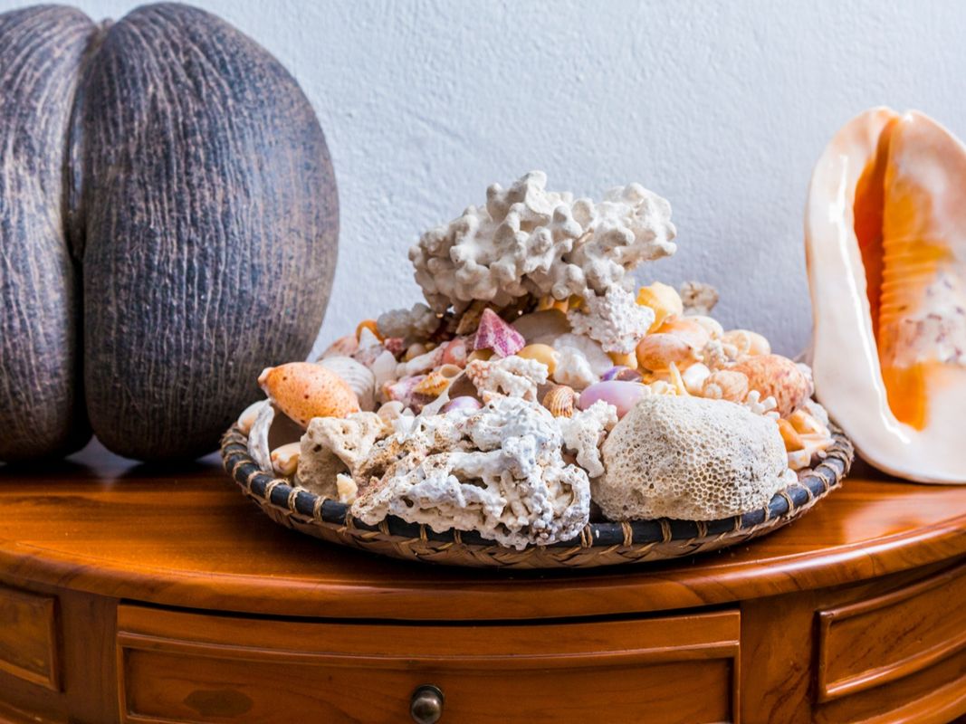 Le Mangliers Guest House