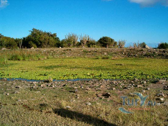 Тропинка серебряных холмов