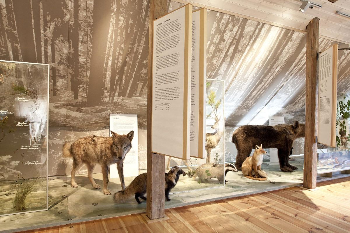 Центр быта Авинурме