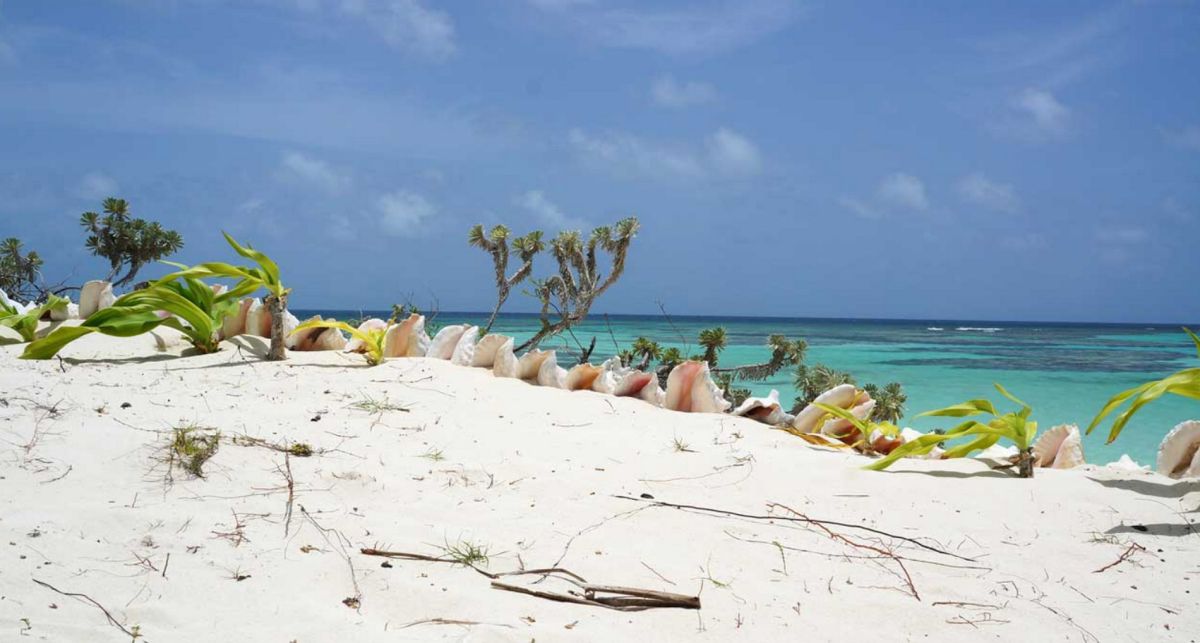 Пляж Коу Врик Бич