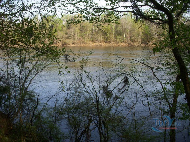 Парк штата Торрея