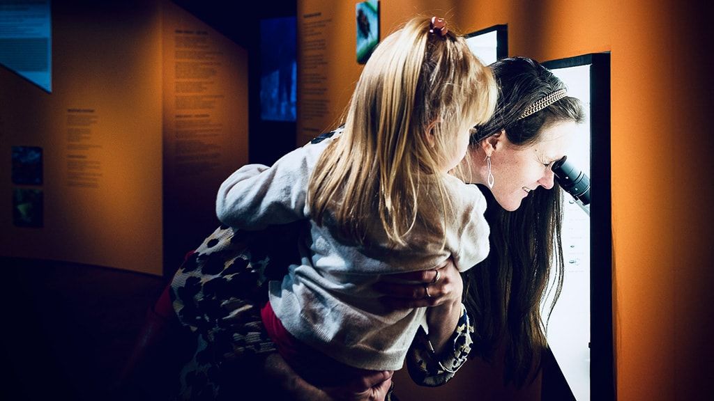 Музей естественной истории