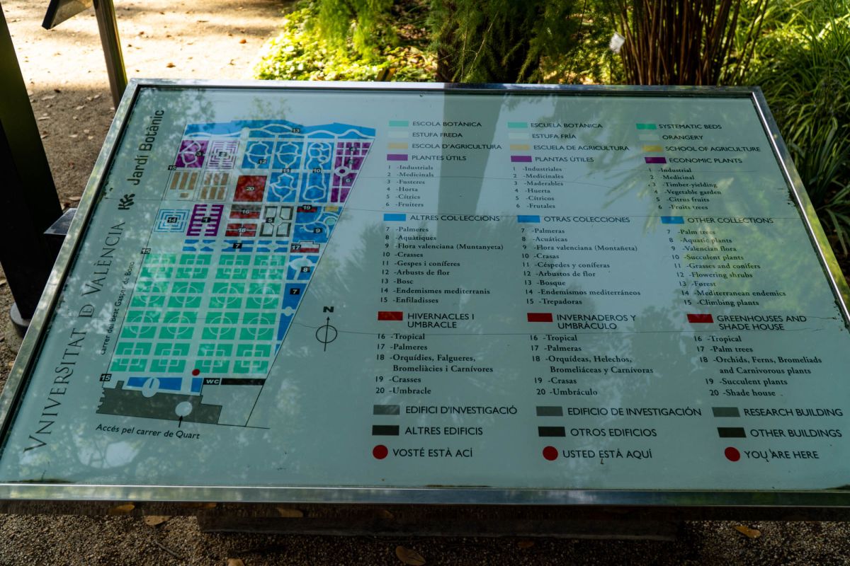 Ботанический сад Валенсии