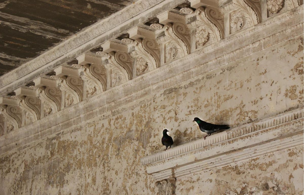 Усадьба Колга