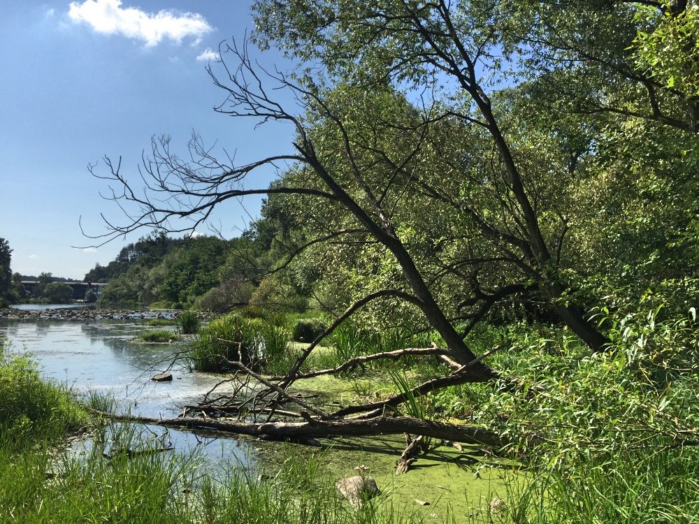 Река Тетерев