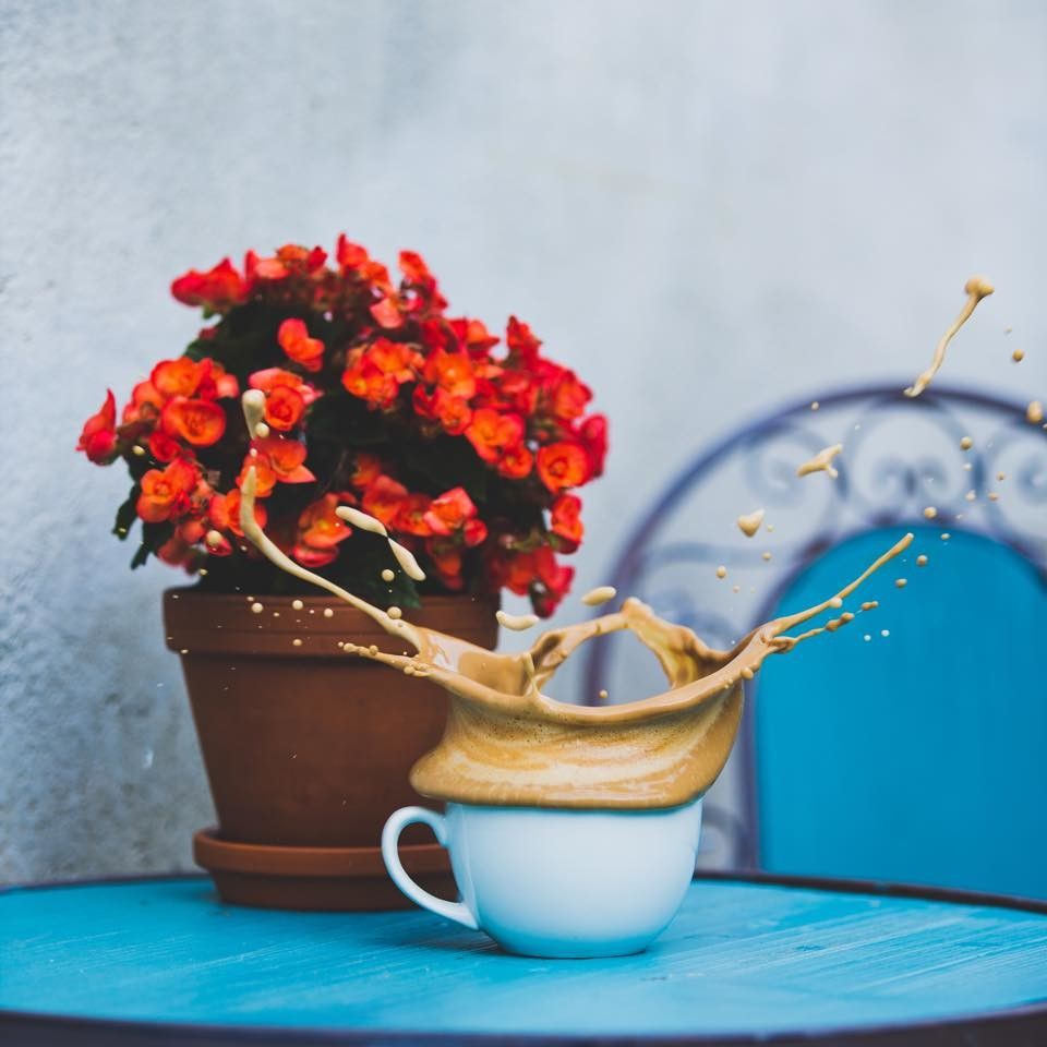 Веганское кафе Lisanna