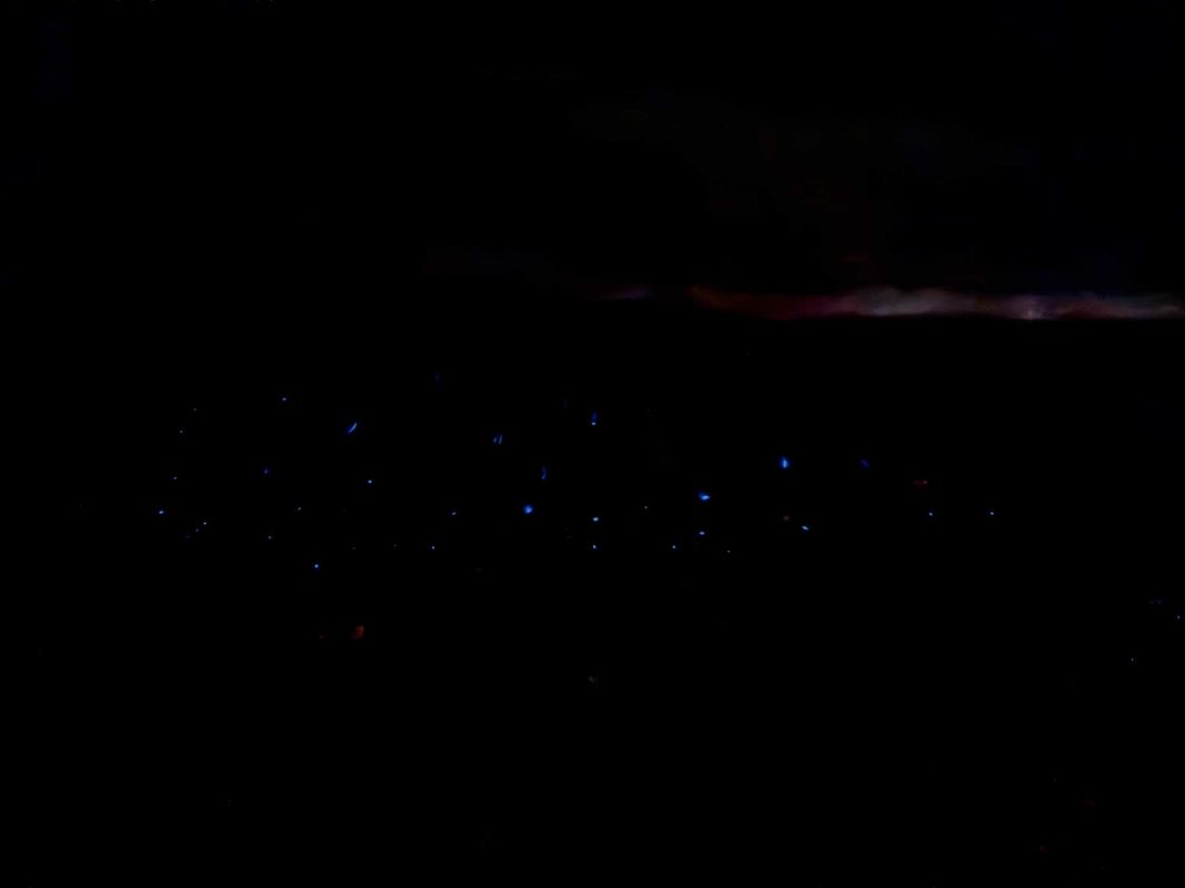 Маафуши Планктон Бич