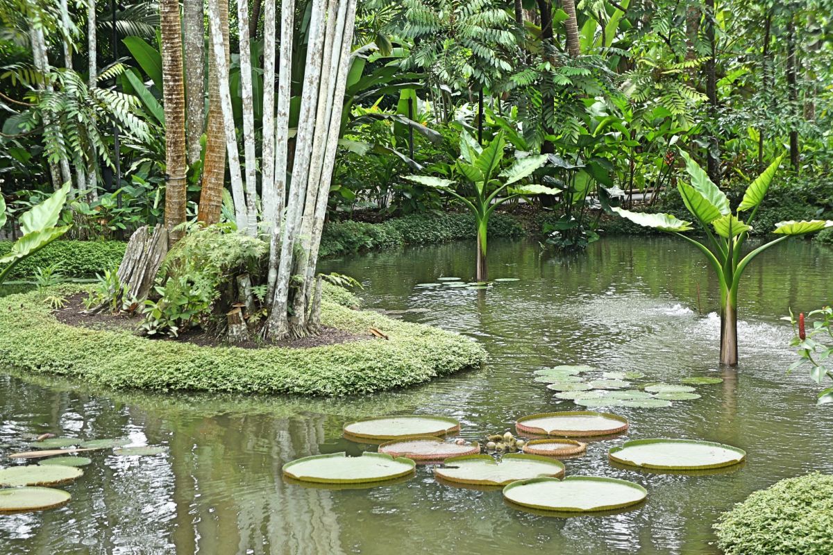 Парк Нассим Гейт