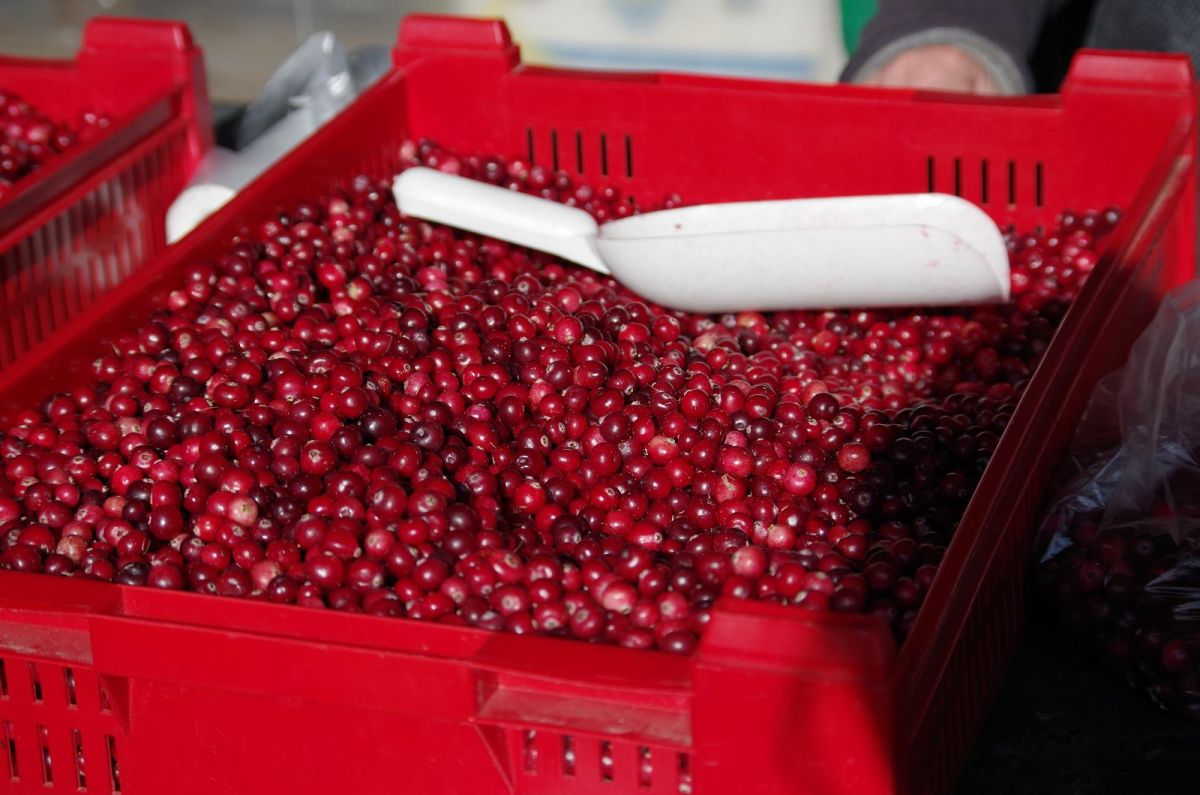 Центральный рынок Тарту