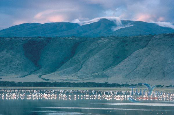 Озеро Накуру